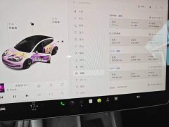 Tesla Model 3 2021 Standard Range RWD Upgrade 3D6 - ფოტო 12