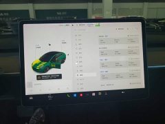 Tesla Model 3 Standard Range RWD Upgrade - ფოტო 12