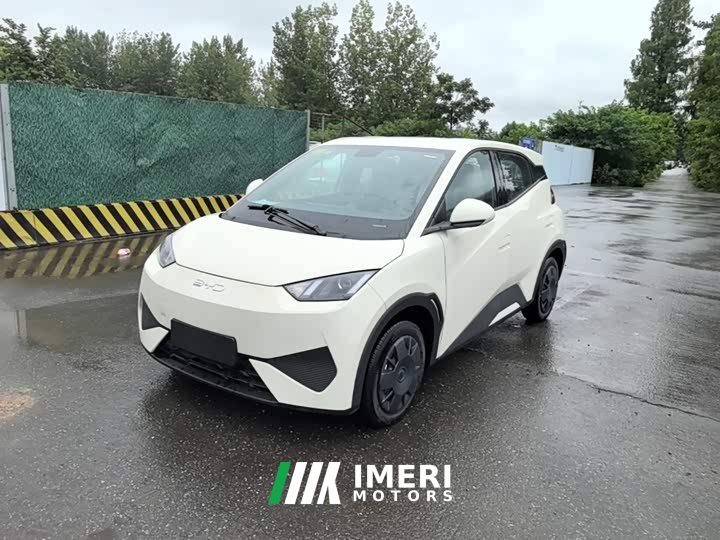 BYD Seagull 2025 Smart Drive 305km Vitality Edition - ავტომობილი ჩინეთიდან