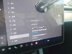 Tesla Model Y Rear-Wheel Drive - ფოტო 12