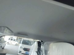 Changan Lumin Treasure Edition 205km Cool Love White CATL - ფოტო 18