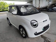 Changan Lumin Treasure Edition 205km Cool Love White CATL - ფოტო 4