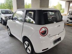 Changan Lumin Treasure Edition 205km Cool Love White CATL - ფოტო 5