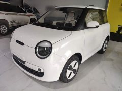 Changan Lumin Treasure Edition 205km Cool Love White CATL - ფოტო 2