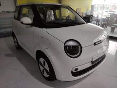 Changan Lumin Treasure Edition 205km Cool Love White CATL - ფოტო 4