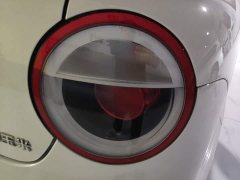 Changan Lumin Treasure Edition 205km Cool Love White CATL - ფოტო 8