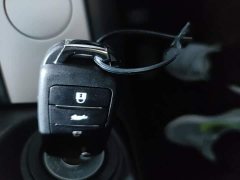 Changan Lumin Treasure Edition 205km Cool Love White CATL - ფოტო 9