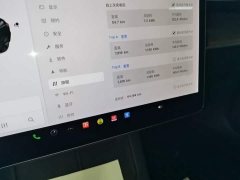 Tesla Model 3 Standard Range RWD Upgrade - ფოტო 12