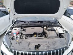 Geely Binrui COOL 1.5T DCT Dragon Ascend Edition - ფოტო 20
