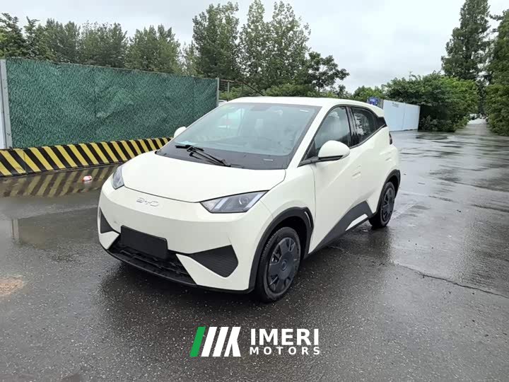 BYD Seagull 2025 Smart Drive 305km Vitality Edition - ავტომობილი ჩინეთიდან
