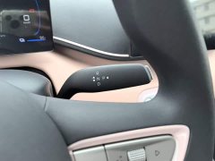 BYD Seagull 2025 Smart Drive 305km Vitality Edition - ფოტო 14