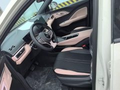 BYD Seagull 2025 Smart Drive 305km Vitality Edition - ფოტო 15