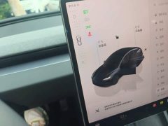 Tesla Model 3 Rear-Wheel Drive - ფოტო 14