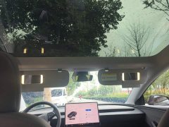 Tesla Model 3 Rear-Wheel Drive - ფოტო 18
