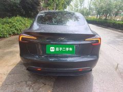Tesla Model 3 Rear-Wheel Drive - ფოტო 6