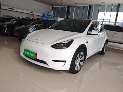 Tesla Model Y Rear-Wheel Drive - ფოტო 1