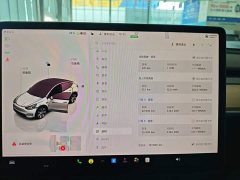 Tesla Model Y Rear-Wheel Drive - ფოტო 12