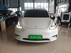 Tesla Model Y Rear-Wheel Drive - ფოტო 3