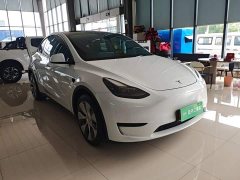 Tesla Model Y Rear-Wheel Drive - ფოტო 4