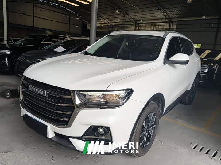 Haval H6 2021 National Trend Edition 1.5T Automatic Urban Version - ავტომობილი ჩინეთიდან