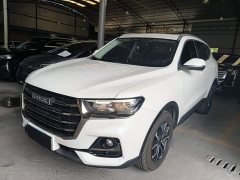 Haval H6 2021 National Trend Edition 1.5T Automatic Urban Version - ფოტო 1