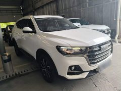 Haval H6 2021 National Trend Edition 1.5T Automatic Urban Version - ფოტო 4