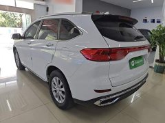 Haval M6 2021 PLUS 1.5T DCT Luxury Smart Connected Edition - ფოტო 5
