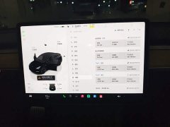 Tesla Model Y 2022 Performance All-Wheel Drive - ფოტო 12