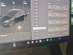 Tesla Model Y Rear-Wheel Drive - ფოტო 12