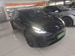 Tesla Model Y Rear-Wheel Drive - ფოტო 4