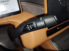 Great Wall WEY Shanshan New Energy Four-Wheel Drive Shanshan 8 - ფოტო 14