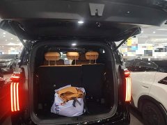 Great Wall WEY Shanshan New Energy Four-Wheel Drive Shanshan 8 - ფოტო 19
