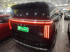Great Wall WEY Shanshan New Energy Four-Wheel Drive Shanshan 8 - ფოტო 7