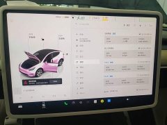 Tesla Model Y 2022 Facelift Rear-Wheel Drive - ფოტო 12