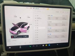 Tesla Model Y 2022 Facelift Rear-Wheel Drive - ფოტო 13