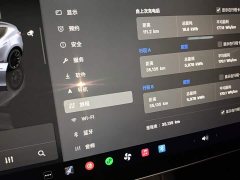 Tesla Model Y Rear-Wheel Drive - ფოტო 12