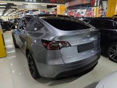 Tesla Model Y Rear-Wheel Drive - ფოტო 5