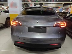 Tesla Model Y Rear-Wheel Drive - ფოტო 6