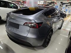 Tesla Model Y Rear-Wheel Drive - ფოტო 7