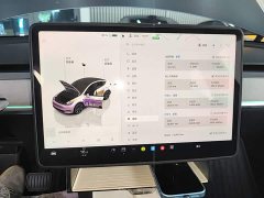 Tesla Model Y Rear-Wheel Drive - ფოტო 12