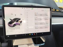 Tesla Model Y Rear-Wheel Drive - ფოტო 13