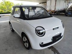 Changan Lumin Treasure Edition 205km Cool Love White CATL - ფოტო 4