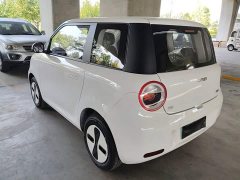 Changan Lumin Treasure Edition 205km Cool Love White CATL - ფოტო 5