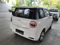 Changan Lumin Treasure Edition 205km Cool Love White CATL - ფოტო 7