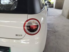 Changan Lumin Treasure Edition 205km Cool Love White CATL - ფოტო 8