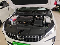 Geely Binrui 2024 Binrui COOL 1.5T DCT Dragon Ascend Edition - ფოტო 20