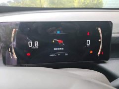 Kingkong Cannon Jingang Pao 2.0T Automatic 8AT Diesel 4WD Elite Flat Bed - ფოტო 8