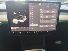 Tesla Model 3 Standard Range RWD Upgrade 3D6 - ფოტო 13