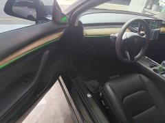 Tesla Model 3 Standard Range RWD Upgrade 3D6 - ფოტო 16