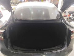 Tesla Model 3 Standard Range RWD Upgrade 3D6 - ფოტო 19